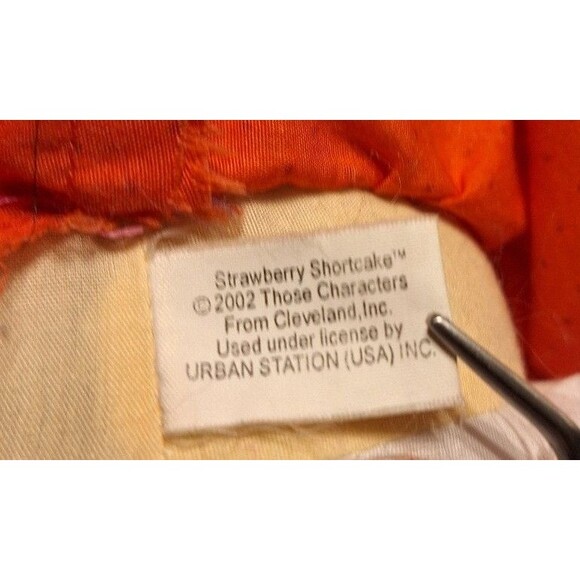 2002 Strawberry Shortcake Cloth Doll Those Characters from Cleveland - Picture 6 of 7